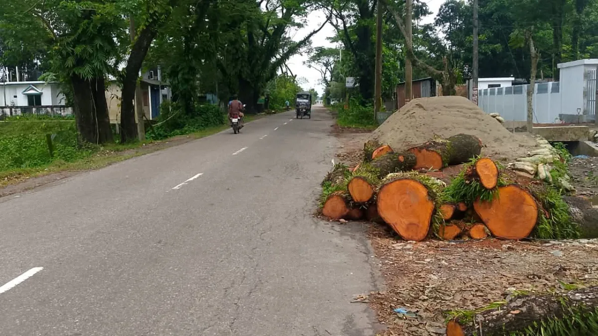 সংগৃহিত